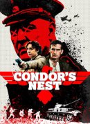 Condor's Nest