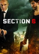 Section 8