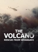 The Volcano: Rescue from Whakaari