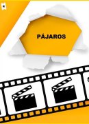 Pájaros