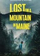 Lost on a Mountain in Maine