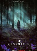 Kingdom: La historia de Ashin