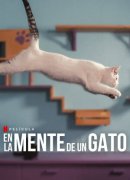 En la mente de un gato