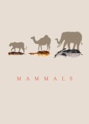 Mammals