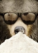 Cocaine Bear: The True Story