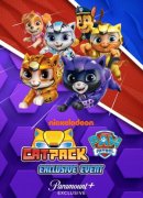 La Cuadrilla Cat, un evento exclusivo de Paw Patrol