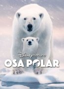 Osa Polar