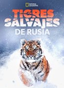 Tigres salvajes de Rusia (Russia’s Wild Tiger)