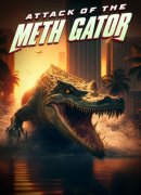 Attack of the Meth Gator